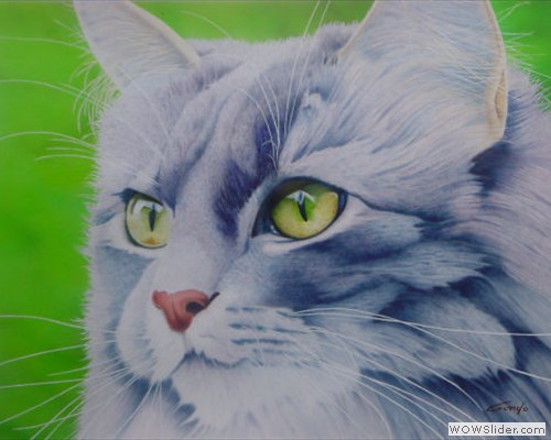 chat peint � l'a�rographe