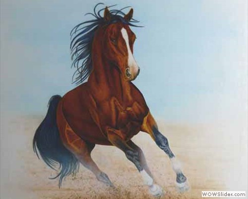 cheval fait � l'a�rographe