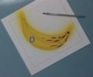 exercices a�rographe foncer le jaune de la banane