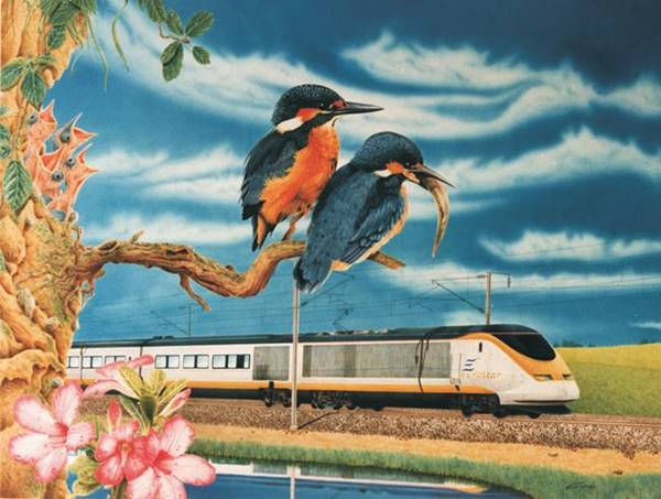 peinture acrylique � l'a�rographe de deux colibris sur une branche en train de regarder un TGV Eurostar au loin