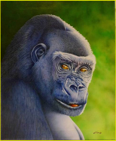 tête de gorille mâle qui nous regarde sans agressivité sur un fond vert représentant le flou de la forêt