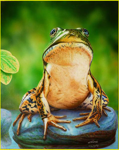 peintue à l'aérographe représentant une grenouille sur un galet dans l'eau entrain de se dorer au soleil