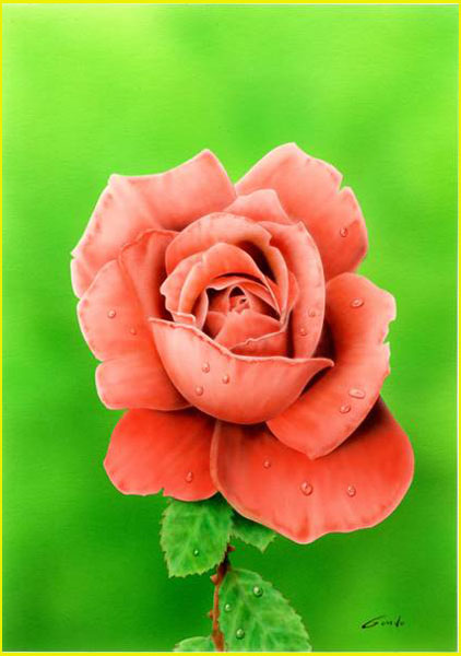 peinture à l'aérographe représentant la rosée sur les pétales d'une rose sur un fond vert clair nuancé