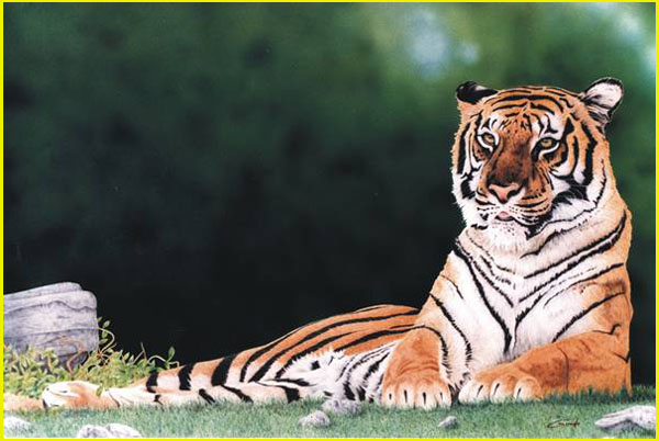 peinture à l'aérographe d'un tigre tranquille couché sur l'herbe, au loin en flou la jungle d'un vert foncé nuancé