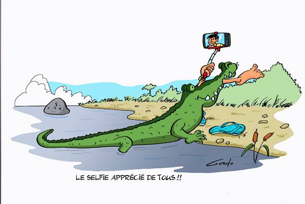 dessin d'un crocodile sorti de l'eau qui a dans sa gueule un touriste qui était en train de faire un selfie